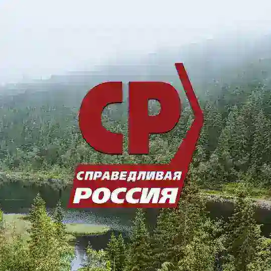 Справедливый голос — Александрово-Заводский округ | чат
