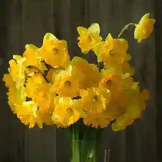 СЗ.СреЗано