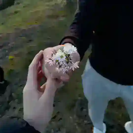 ᷂تایبەت ᷂ڕیکلام🤎،