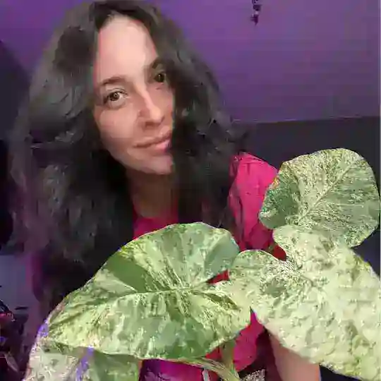 ЗЕЛЁНЫЙ ЖУРНАЛ / THE GREEN JOURNAL🪴