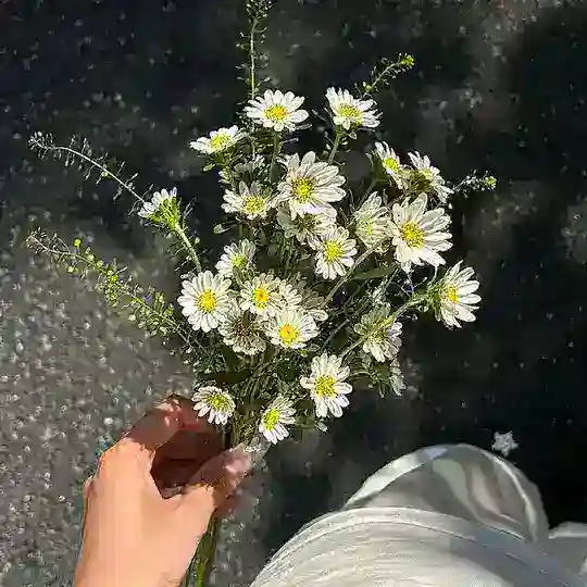 Thwih