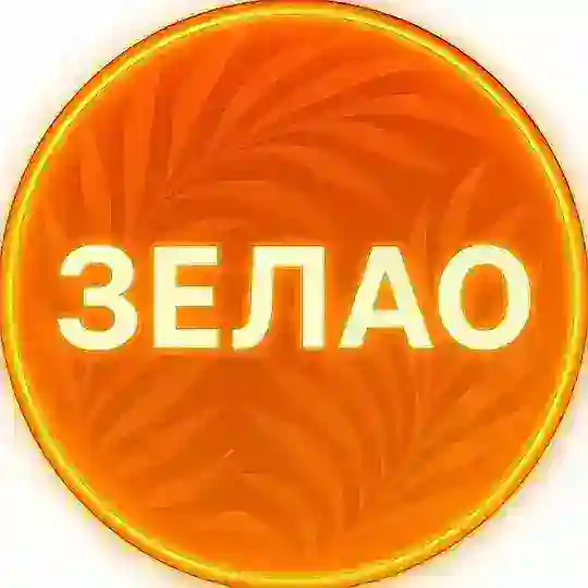 🟢Услуги ЗЕЛАО Москва МСК