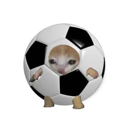 ⚽️восточный сектор⚽️
