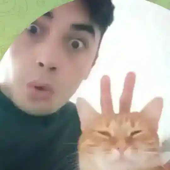 Сбор Хаякистов
