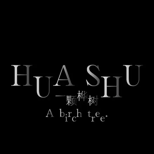 一颗桦树【95 场课堂】