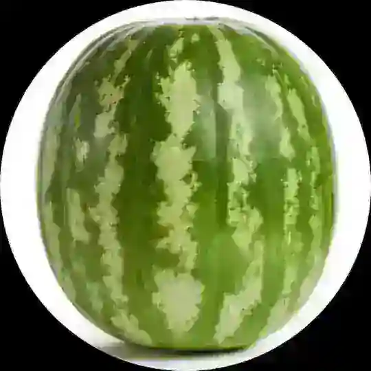 Отзывы ВайралШоп | +rep Telegram Group Avatar