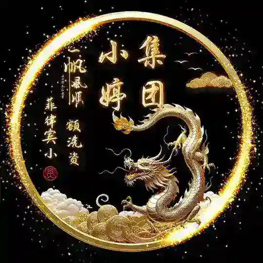 公群321·5666u·小婷集团小额洗资