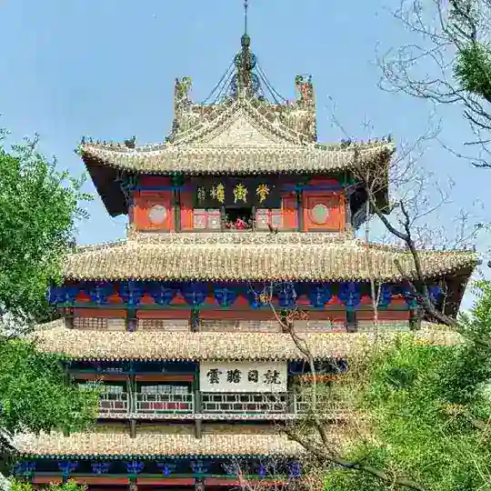 山东聊城学生会