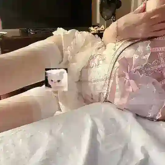 🦪制服妹妹私密檔案室🦪 Telegram group logo