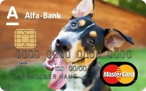 Alfa-Bank Cards
