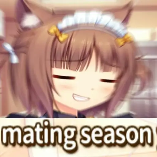 Nekopara | @nekoparaRU