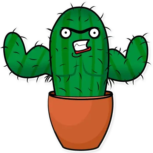 Sarcactus