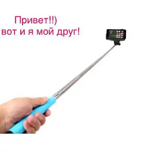 Селфи палочник