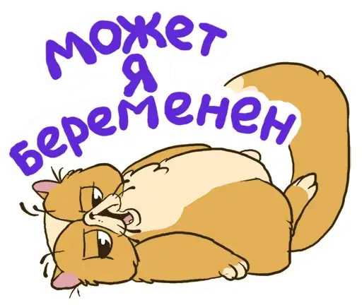 Lazycat @stickersb2b