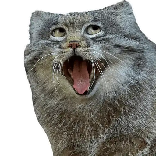 manul