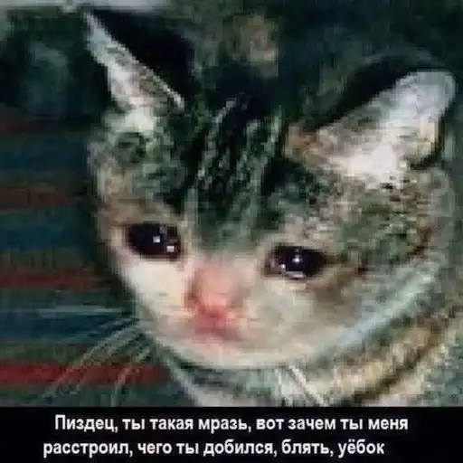 pezdec_ty_mraz