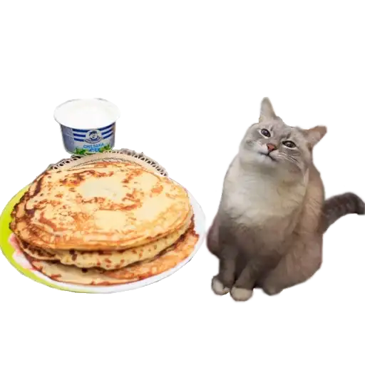 Strange cats bad clipping