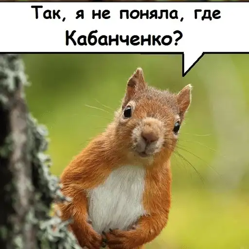 Лесная Школа