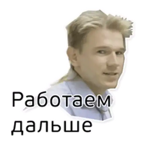 Веб студия "Сокол"