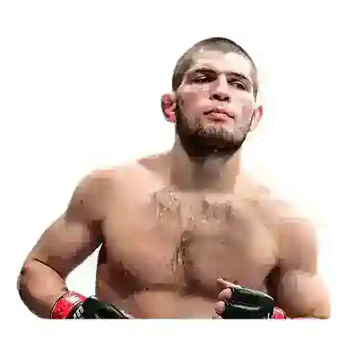 MMA @ufcish